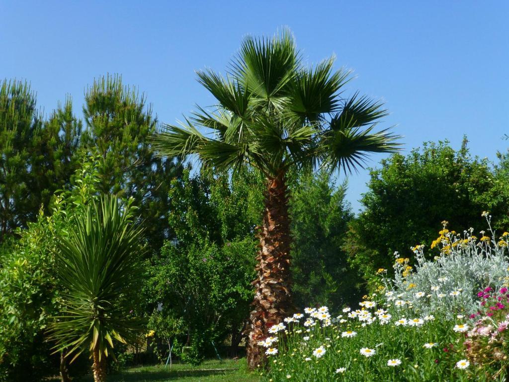 دوجر كويو Mountain Lodge Hotel المظهر الخارجي الصورة