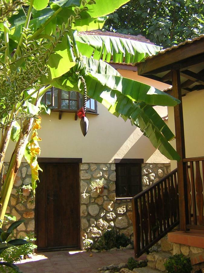 دوجر كويو Mountain Lodge Hotel المظهر الخارجي الصورة